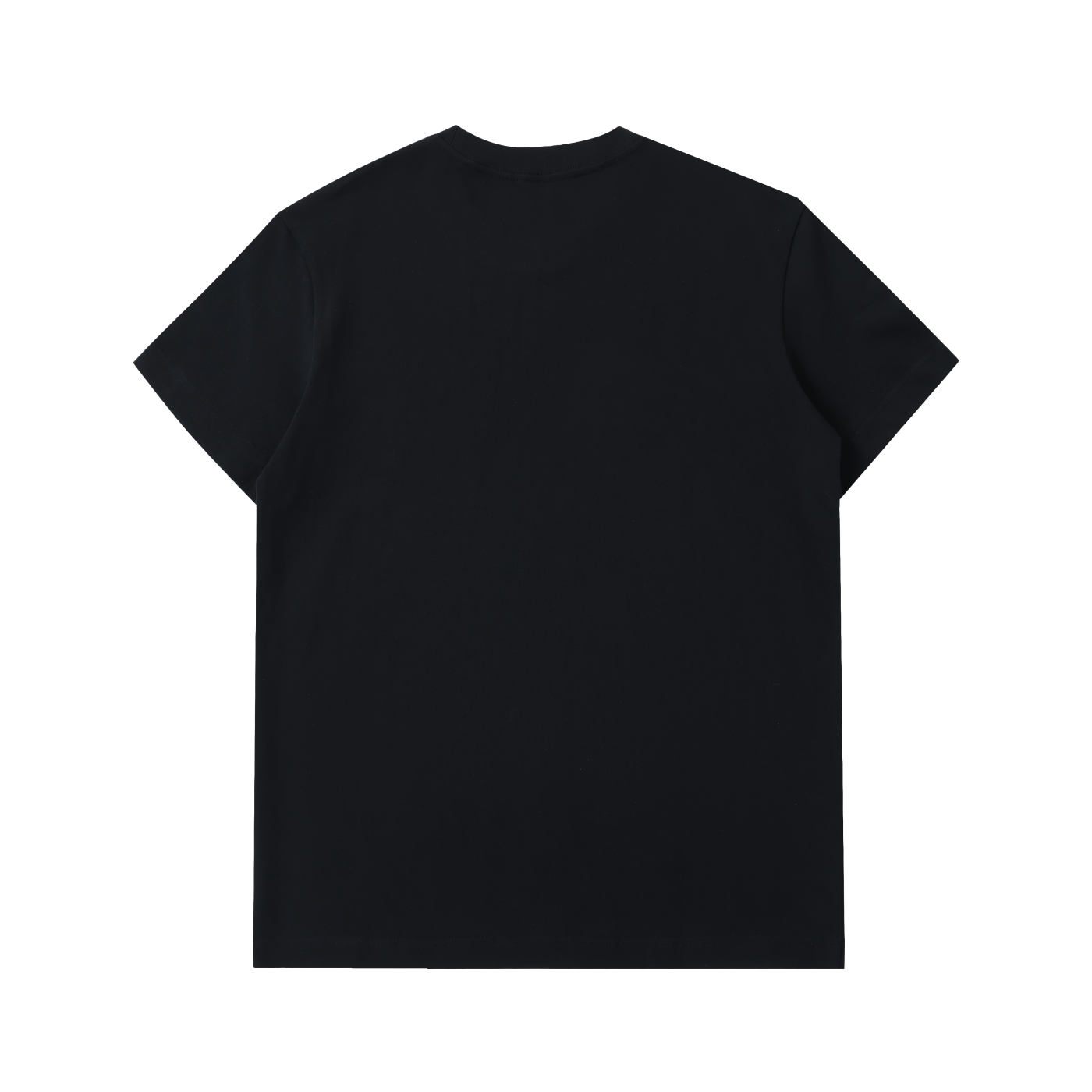 COAST 2 COAST DOG TEE